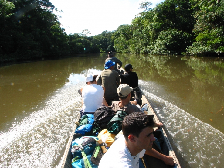 On the way to the heart of the jungle