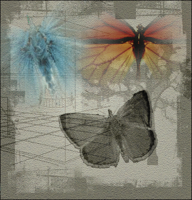 Butterfly Power