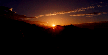 Joy in the Sun Rise