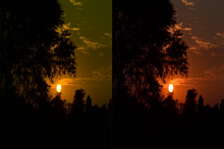 Diffrent Colour Tress!