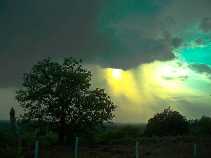 Sun Rays !