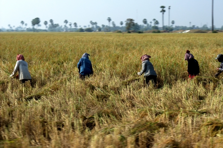 cambodia: phnom penh
