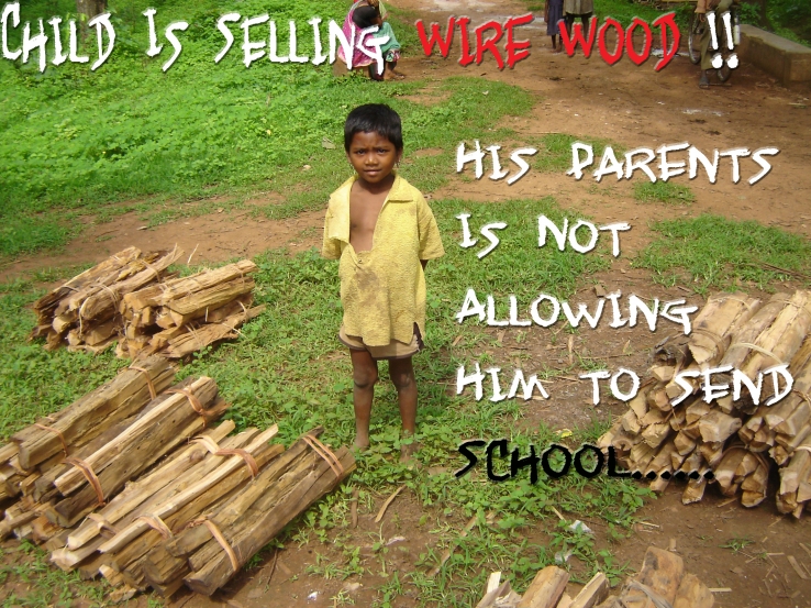 Child Selling FireWood!