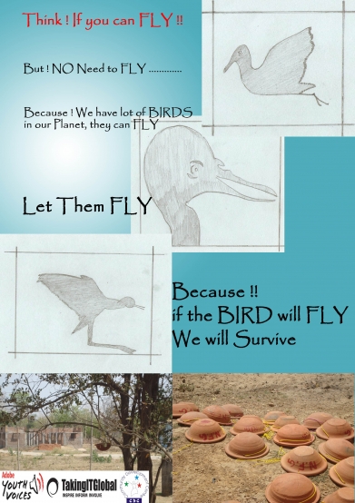 Let them Fly!