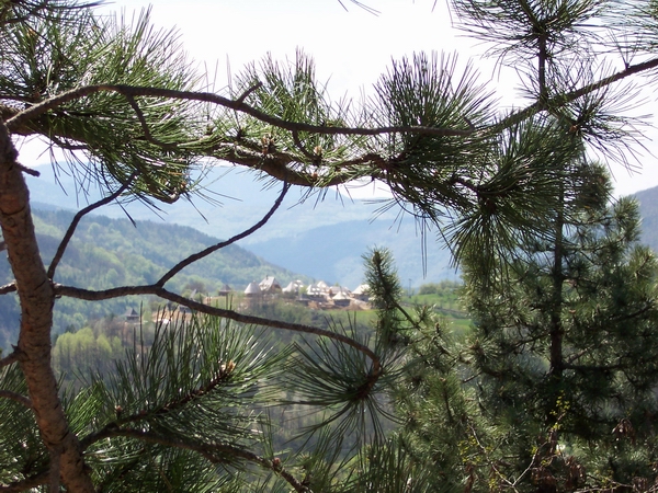 Kusturica's Village Landscape, Summer 2003