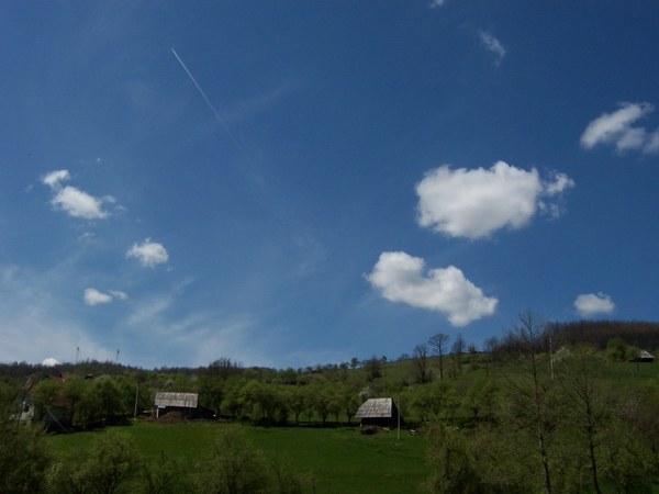 Blue Sky