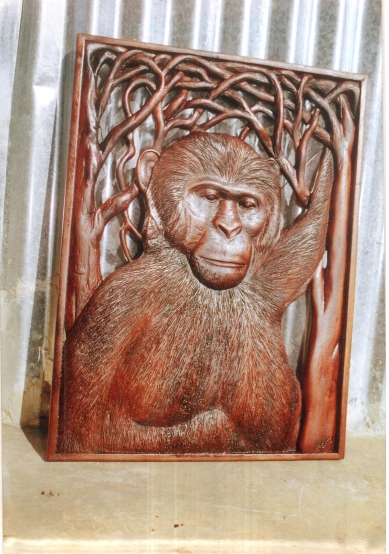 Chipanzee board