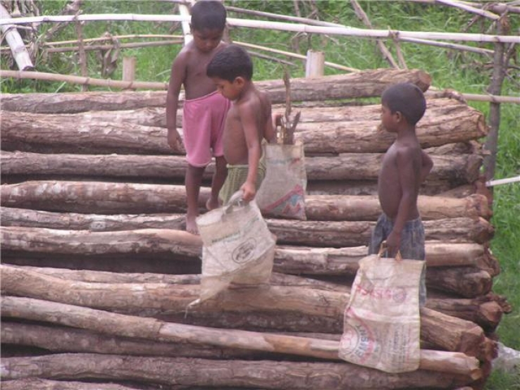 5-6yrs boy collecting garbage