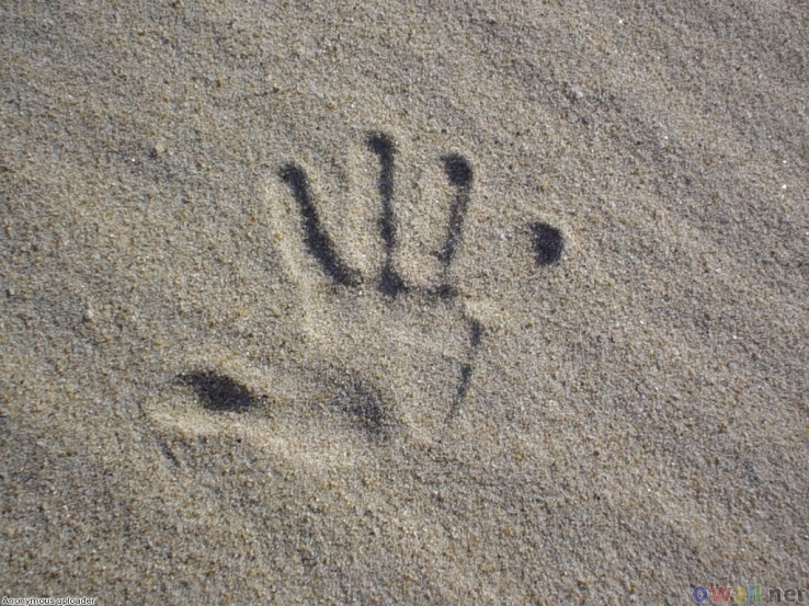 Palm Imprint