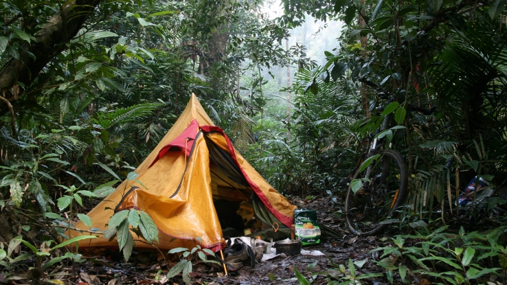 Living in the Rainforest