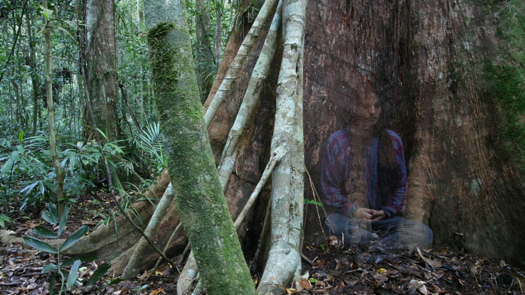 Meditation in the Forest