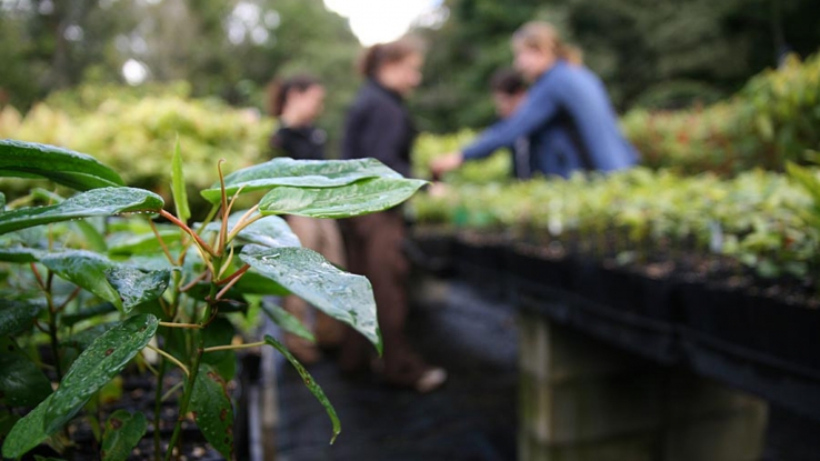 Ecological Restoration