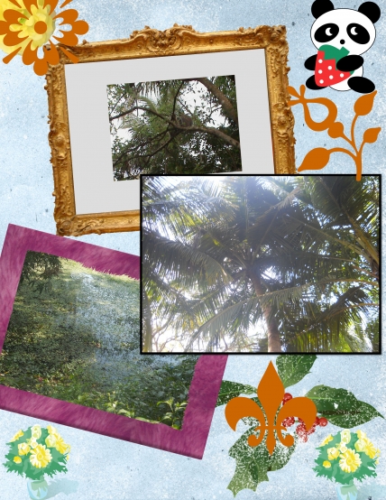 Tree Is our friend