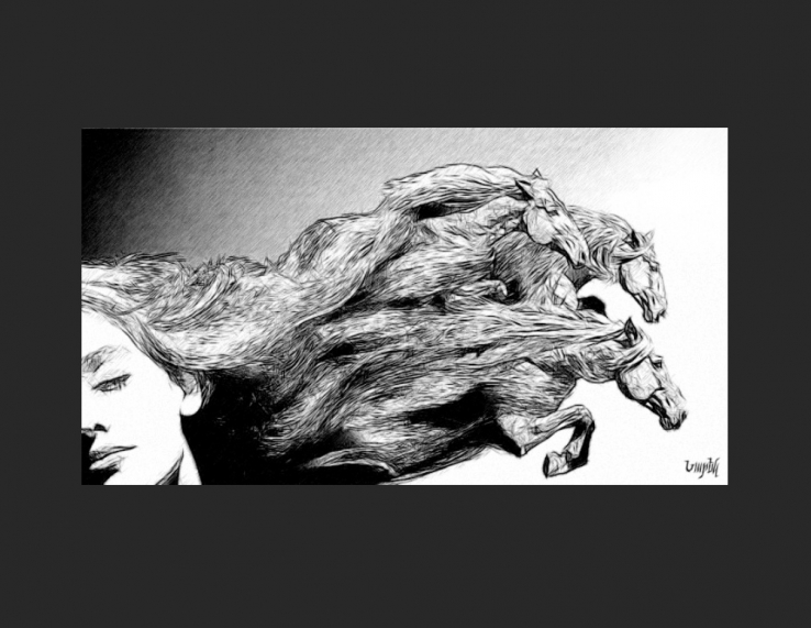 horses