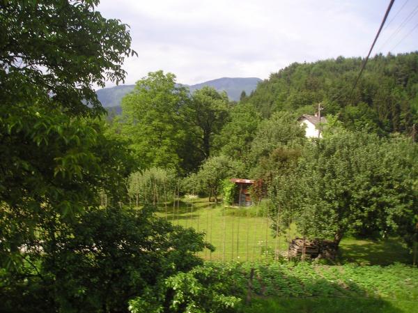 green paradise