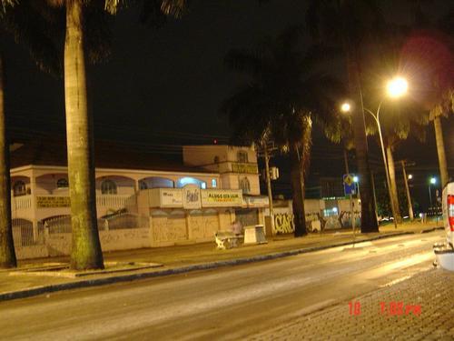 Avenida das Palmeiras