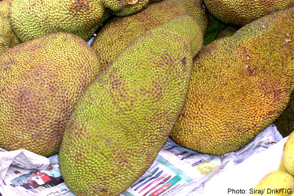 Kathal (Jackfruit)