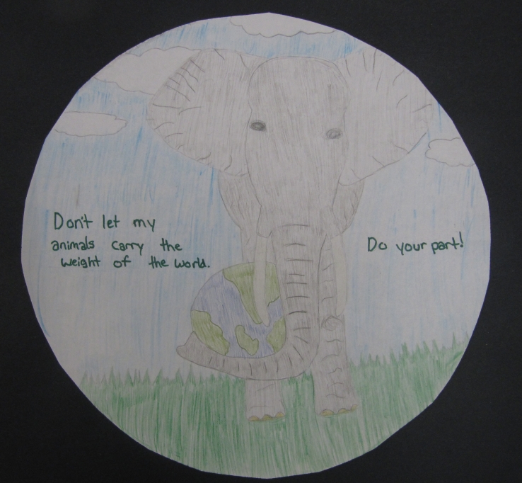 the elephants care