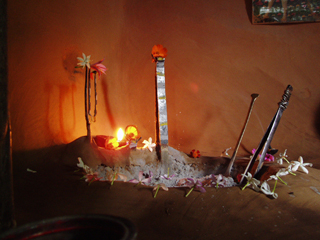 The Dhooni