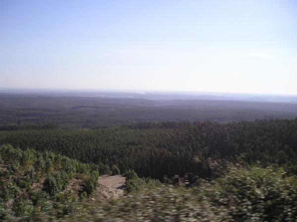 Green sea