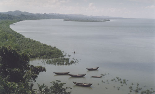 River boats