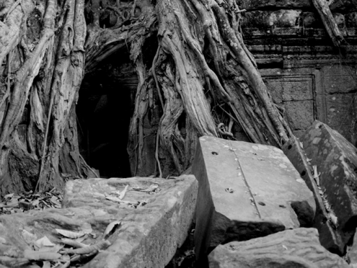 BWTreeCave