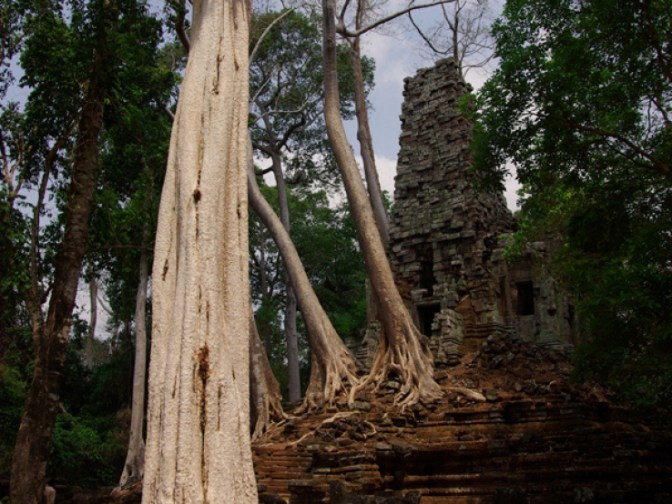 EpiphiteTemple