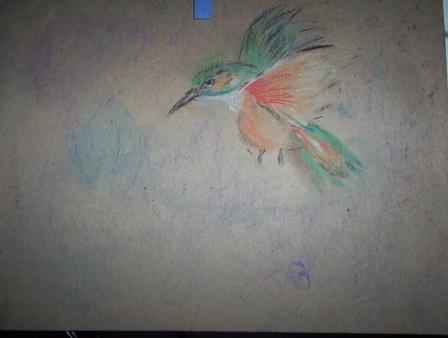 Humingbird