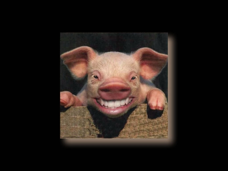 Smile