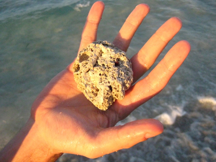 Sea rock
