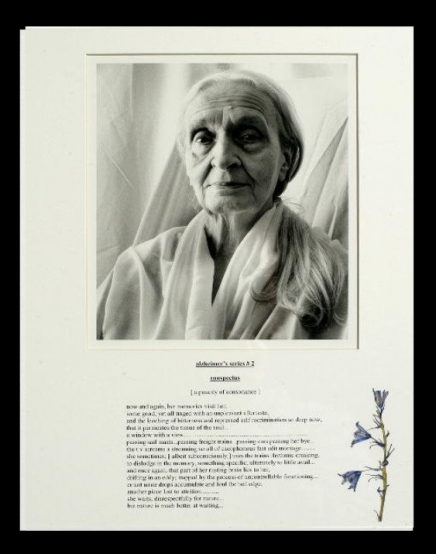 alzheimer's series 1-4