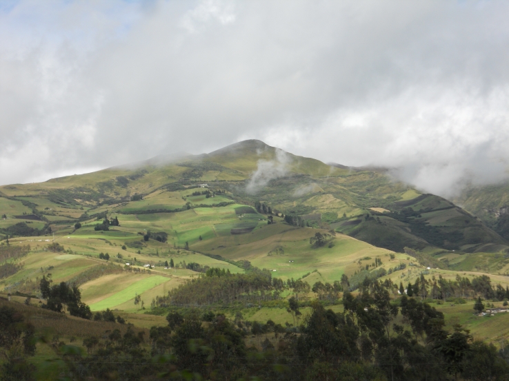 Green patches