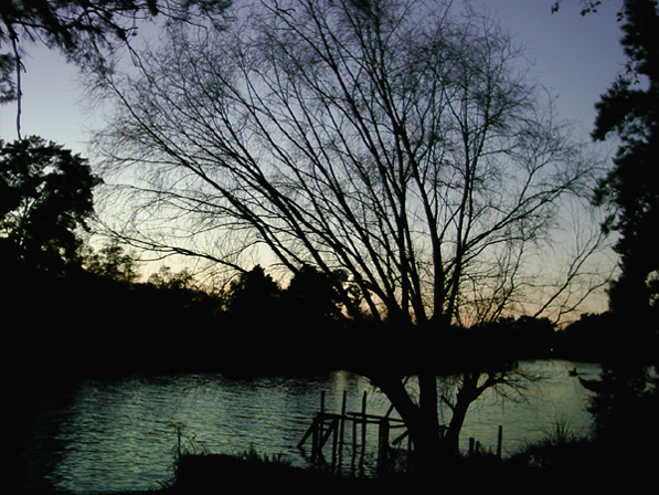 Amanecer en El Tigre