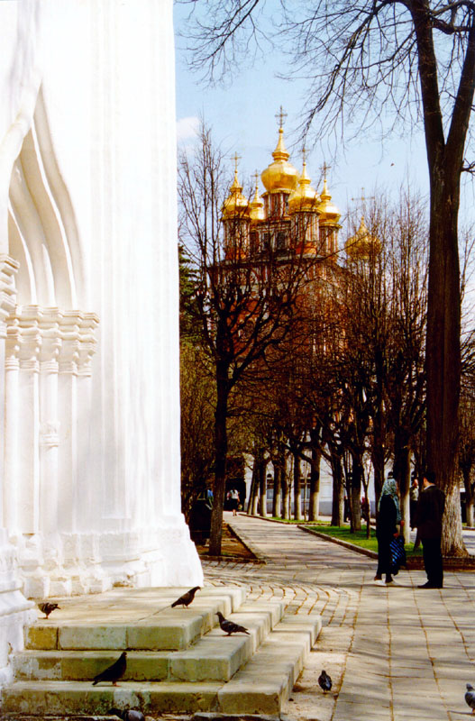 Posad