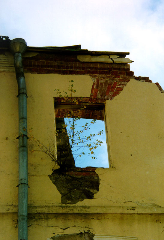 Window