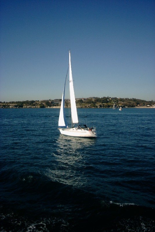 Velero Australiano