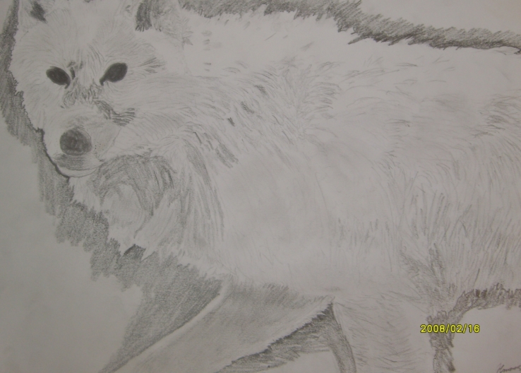 Lone Wolf