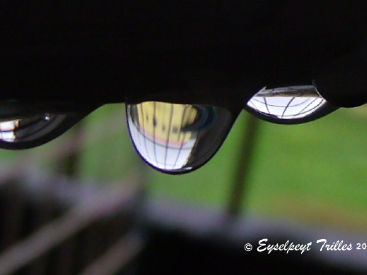 Raindrops