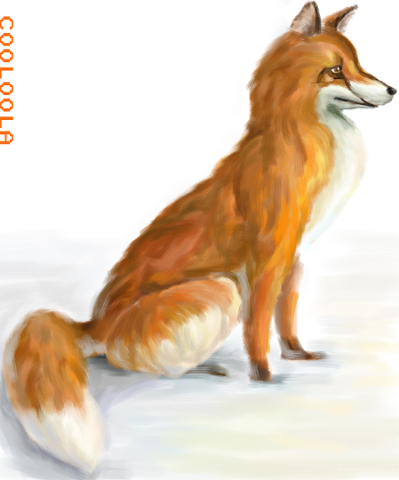 Red Fox