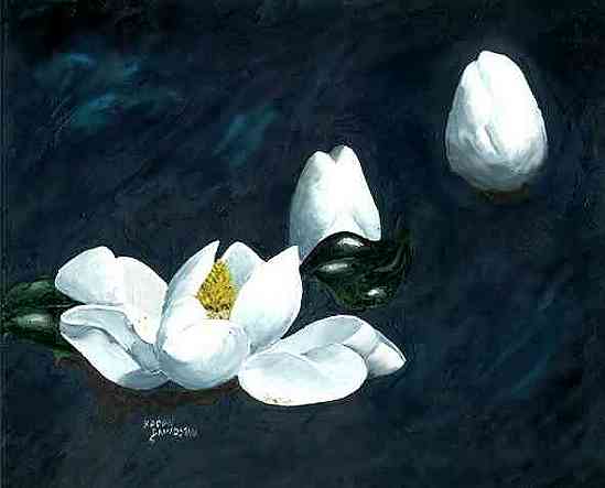 Magnolia Awakening
