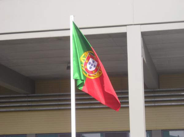 the Portugese flag