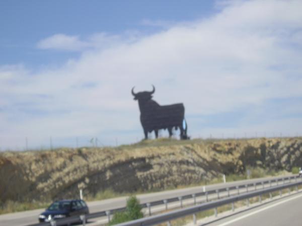 Torro/Bik