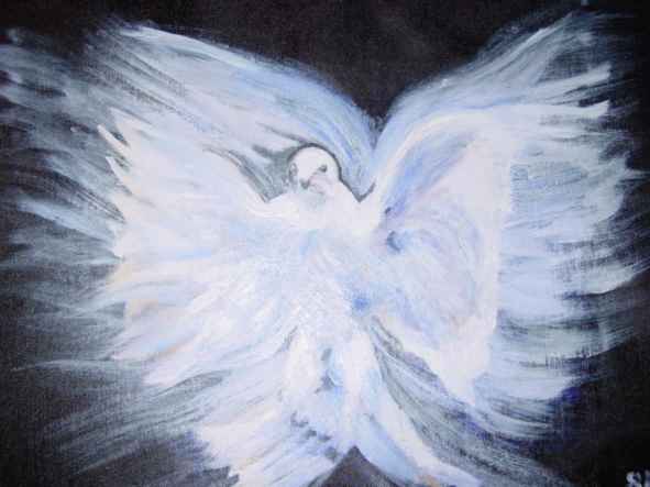 Dove, messenger of peace, love & Light