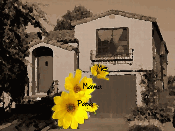 Elements of a Home