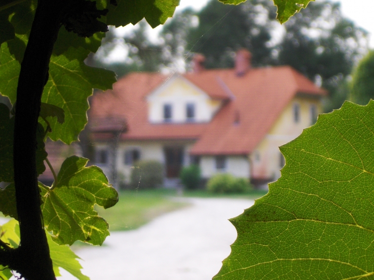 Radomlje