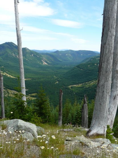 Mt St. Helens
