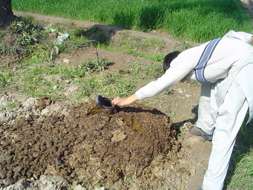 Down the donkey's dirt...