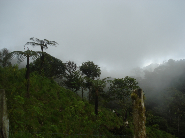 In the Mountains, Las Tolas