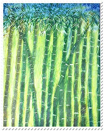 Bamboo Groove