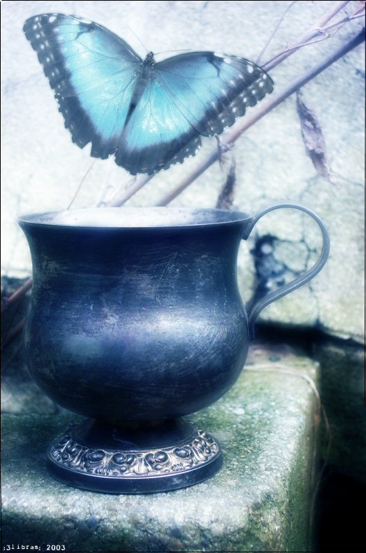 tea..